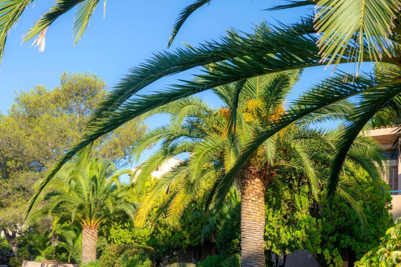 Residence Goelia Les Jardins D'Azur Saint-Raphaël Zewnętrze zdjęcie